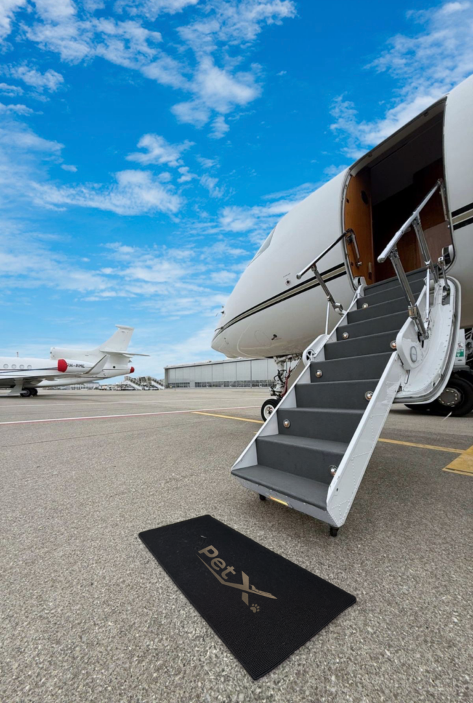 Private Jet Travel for Dogs UK ↔ Dubai | PetX Jets